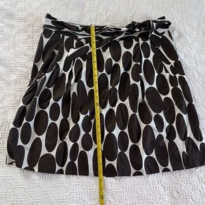 Ann Taylor skirt